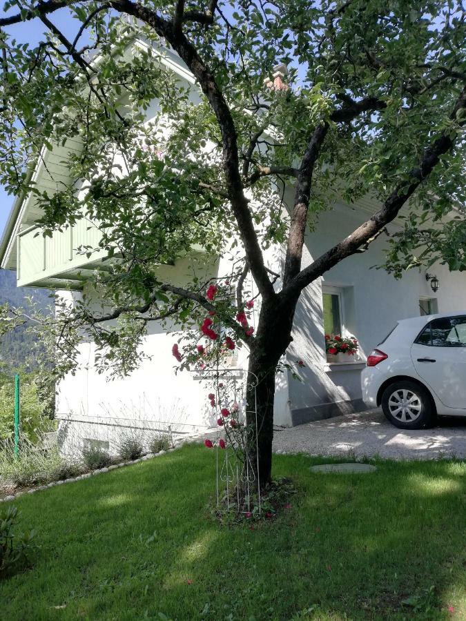 Apartma Neza Bled Ngoại thất bức ảnh